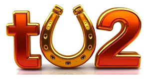 t02